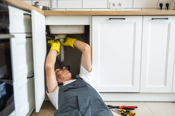 Best Local Plumber Services  in Kitsap Lake, WA